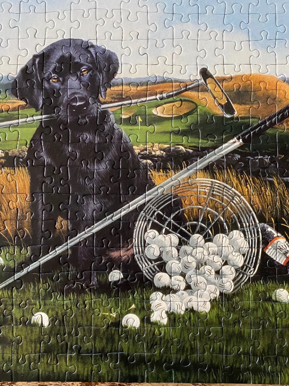 Ravensburger 300-Piece Puzzle - Golf Anyone? - Black dog 2009 Complete